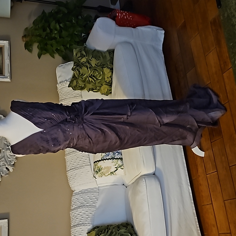 Adrianna Papell Long Formal Chiffon Pleated Gown  Dress Size 14 NWT